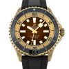 SuperOcean Automatic 44
N17376