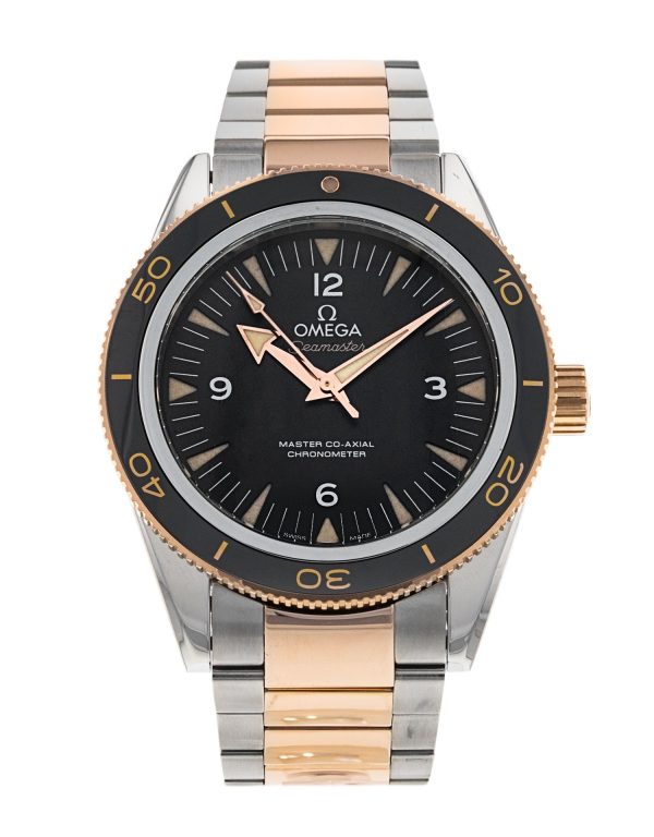 Seamaster 300
233.20.41.21.01.001