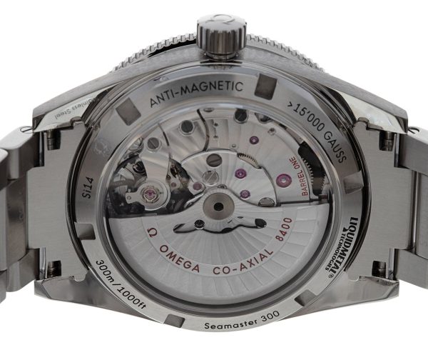Seamaster 300
233.30.41.21.01.001