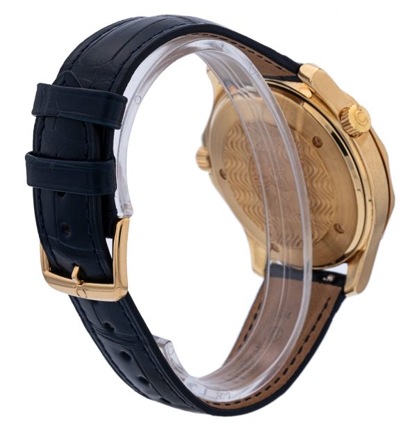 Seamaster 300m
2133.80.00