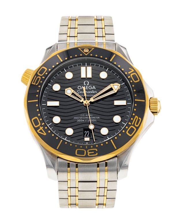 Seamaster Diver 300m
210.20.42.20.01.002