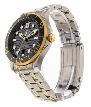 Seamaster Diver 300m
210.20.42.20.01.002