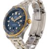 Seamaster Diver 300m
210.20.42.20.03.001