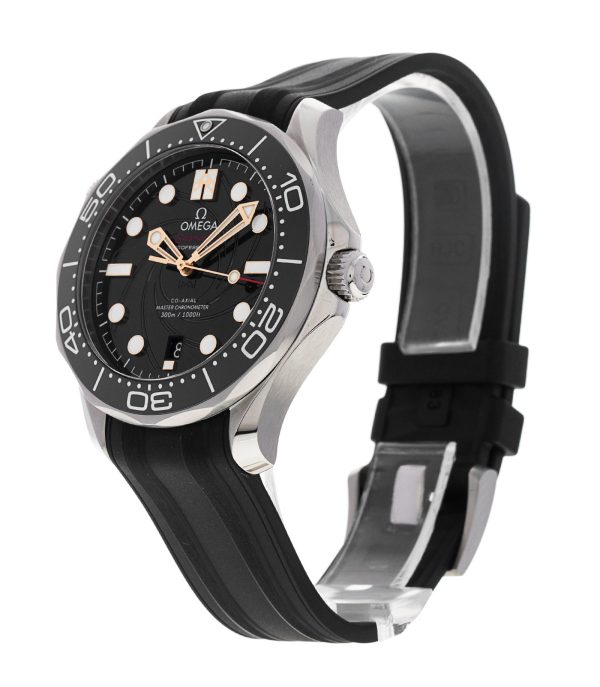 Seamaster Diver 300m
210.22.42.20.01.004