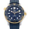 Seamaster Diver 300m
210.22.42.20.03.001