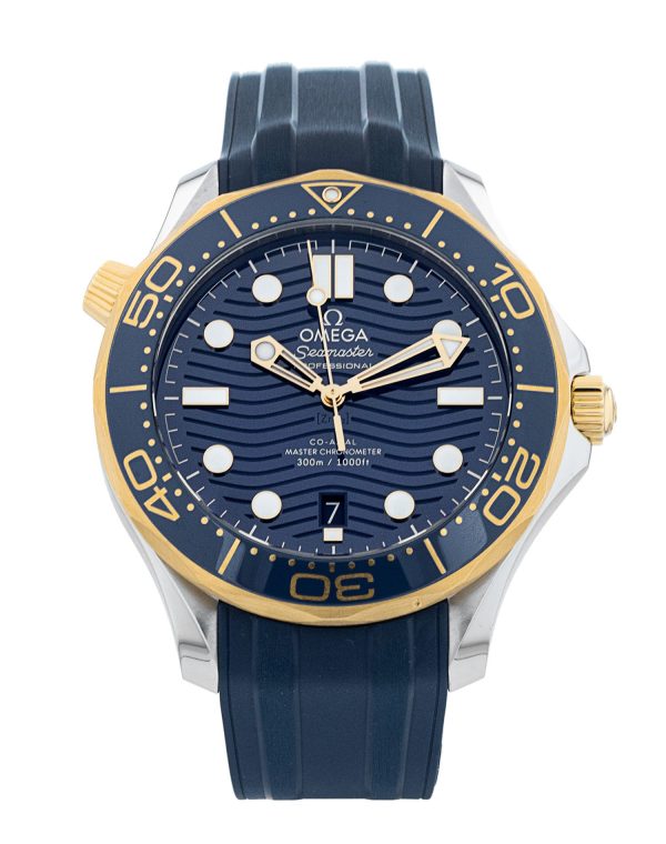 Seamaster Diver 300m
210.22.42.20.03.001