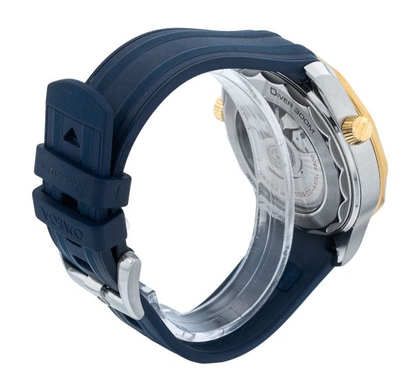 Seamaster Diver 300m
210.22.42.20.03.001
