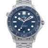 Seamaster Diver 300m
210.30.42.20.03.001