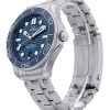 Seamaster Diver 300m
210.30.42.20.03.001