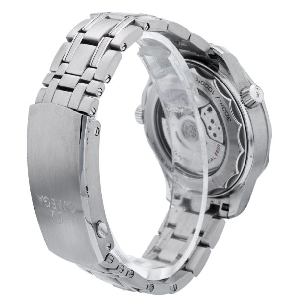 Seamaster Diver 300m
210.30.42.20.03.001