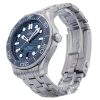 Seamaster Diver 300m
210.30.42.20.03.001