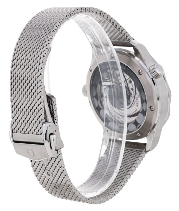 Seamaster Diver 300m
210.30.42.20.03.002