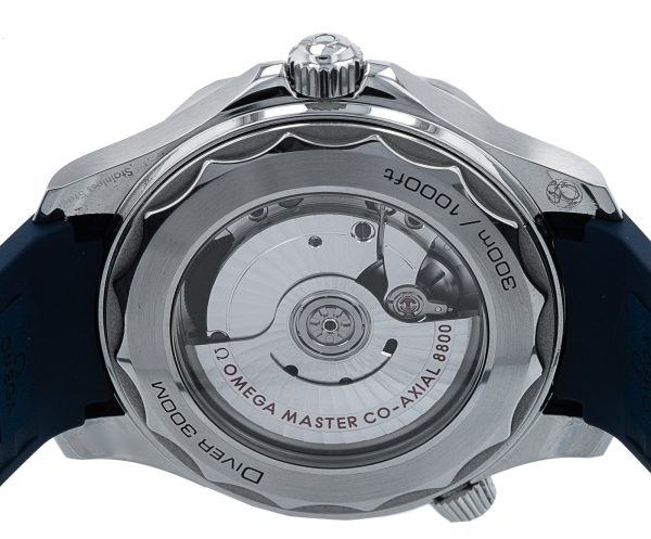 Seamaster Diver 300m
210.32.42.20.03.001