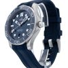 Seamaster Diver 300m
210.32.42.20.03.001