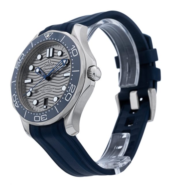 Seamaster Diver 300m
210.32.42.20.06.001