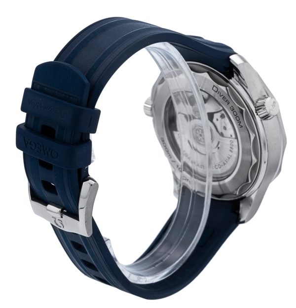 Seamaster Diver 300m
210.32.42.20.06.001