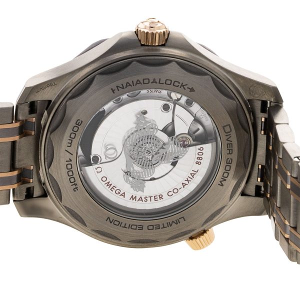 Seamaster Diver 300m
210.60.42.20.99.001