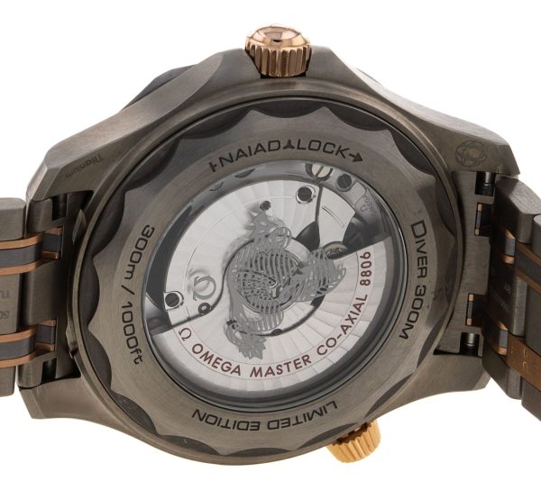 Seamaster Diver 300m
210.60.42.20.99.001