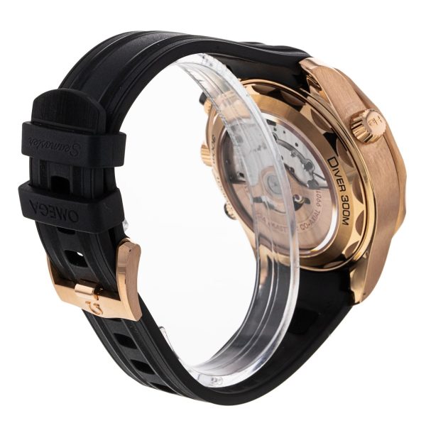 Seamaster Diver 300m
210.62.44.51.01.001