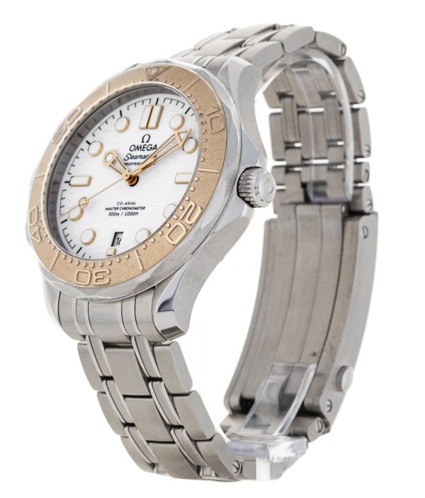Seamaster Diver 300m
522.21.42.20.04.001