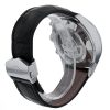 Carrera
CV2A1AB.FC6379