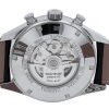 Carrera
CV2A1AB.FC6379